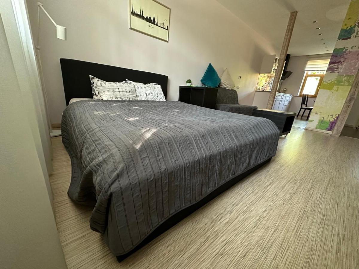 ריגה Studio Apartment In Private House מראה חיצוני תמונה